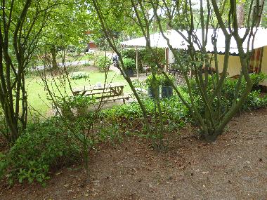 Chalet in Raalte (Overijssel) oder Ferienwohnung oder Ferienhaus