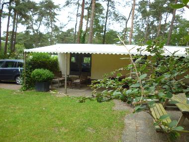 Chalet in Raalte (Overijssel) oder Ferienwohnung oder Ferienhaus