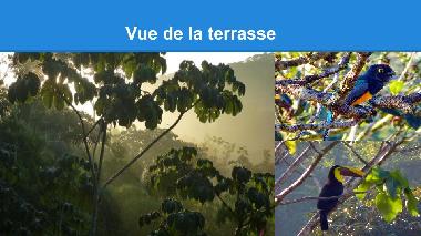 Ferienhaus in Ojochal (Puntarenas) oder Ferienwohnung oder Ferienhaus