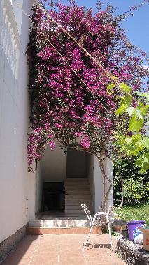 Ferienwohnung in Budva (Montenegro) oder Ferienwohnung oder Ferienhaus