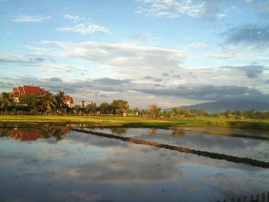 Chalet in Sanum (Chiang Mai) oder Ferienwohnung oder Ferienhaus