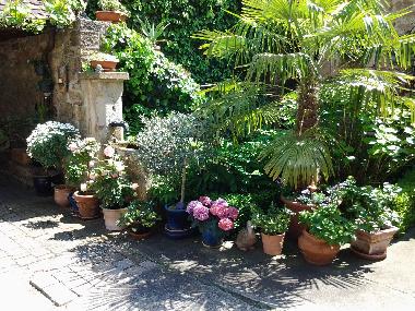 Ferienwohnung in D�rrenbach (Pfalz) oder Ferienwohnung oder Ferienhaus