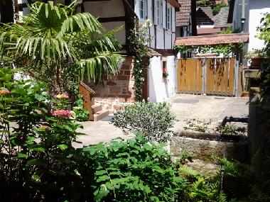 Ferienwohnung in D�rrenbach (Pfalz) oder Ferienwohnung oder Ferienhaus