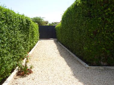 Villa in  somone (Thies) oder Ferienwohnung oder Ferienhaus