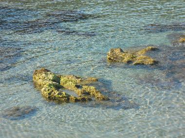 Ferienhaus in skafidia pyrgos ilias (Ileia) oder Ferienwohnung oder Ferienhaus