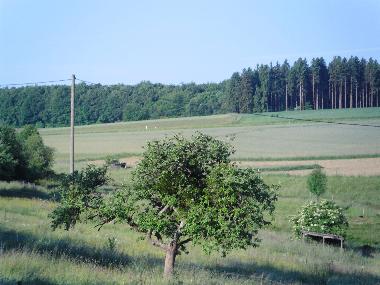 Ausblick auf das Grundstck des Landhaus Nobel-Hobel