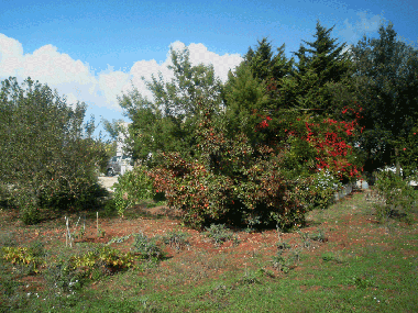 Ferienhaus in Martina Franca (Taranto) oder Ferienwohnung oder Ferienhaus