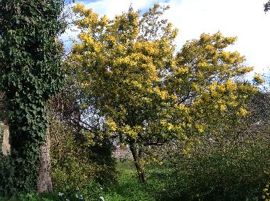 Ferienhaus in Martina Franca (Taranto) oder Ferienwohnung oder Ferienhaus