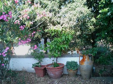 Ferienhaus in Martina Franca (Taranto) oder Ferienwohnung oder Ferienhaus