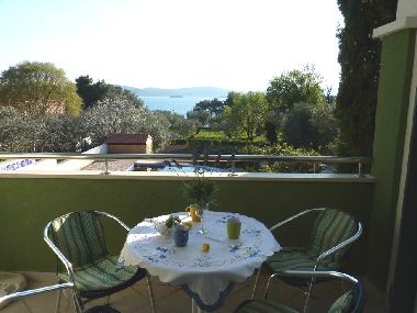 Villa in Sv. Filip i Jakov (Zadarska) oder Ferienwohnung oder Ferienhaus