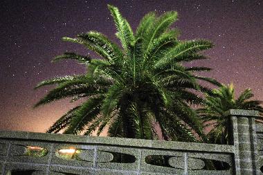 Ferienwohnung in Calasetta (Carbonia-Iglesias) oder Ferienwohnung oder Ferienhaus