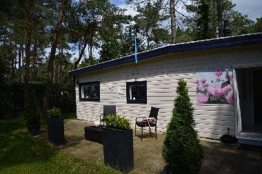 Ferienhaus in Doornspijk (Gelderland) oder Ferienwohnung oder Ferienhaus