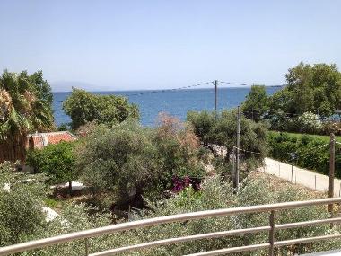 Ferienhaus in AIGIO-Rododafni (Achaia) oder Ferienwohnung oder Ferienhaus