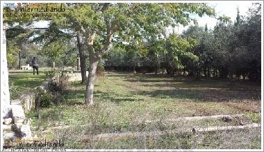 Ferienwohnung in Supersano (Lecce) oder Ferienwohnung oder Ferienhaus