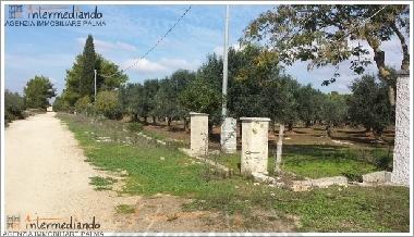 Ferienwohnung in Supersano (Lecce) oder Ferienwohnung oder Ferienhaus