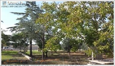 Ferienwohnung in Supersano (Lecce) oder Ferienwohnung oder Ferienhaus