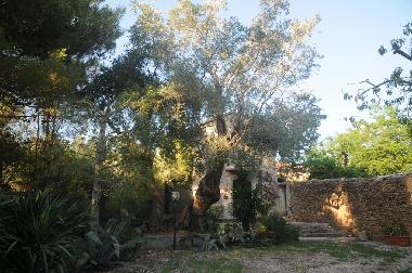 Villa in Castellabate (Salerno) oder Ferienwohnung oder Ferienhaus