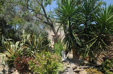 Villa in Castellabate (Salerno) oder Ferienwohnung oder Ferienhaus