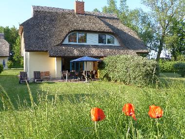 Ferienhaus in Puddemin (Ostsee-Inseln) oder Ferienwohnung oder Ferienhaus