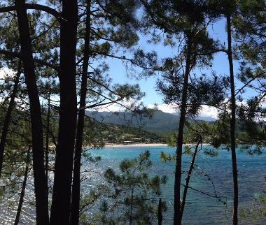 Ferienhaus in solenzara (Haute-Corse) oder Ferienwohnung oder Ferienhaus
