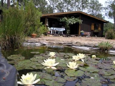 Ferienhaus in Grayan L&acute;Hopital (Gironde) oder Ferienwohnung oder Ferienhaus