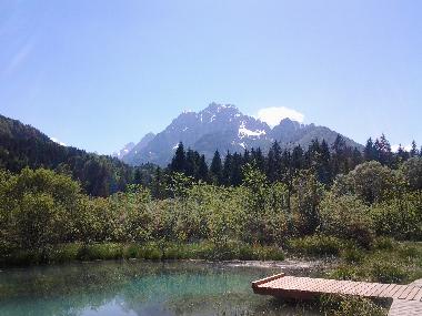 Naturreservat Zelenci - einen Besuch wert