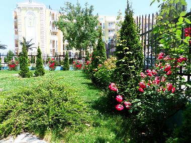 Grne und Blumen  im Hofeingang