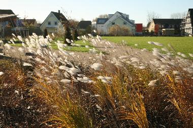 Ferienwohnung in B�rgerende (Mecklenburgische Ostseek�ste) oder Ferienwohnung oder Ferienhaus