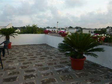 Pension in Uggiano La Chiesa (Lecce) oder Ferienwohnung oder Ferienhaus