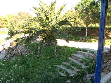 Ferienhaus in Otzias (Kyklades) oder Ferienwohnung oder Ferienhaus