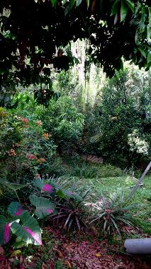 Ferienwohnung in SAINT ESPRIT (Martinique) oder Ferienwohnung oder Ferienhaus