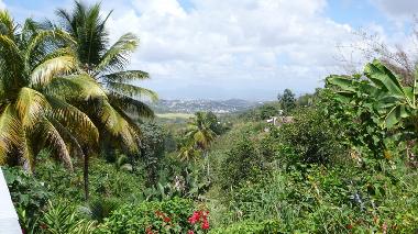 Ferienwohnung in SAINT ESPRIT (Martinique) oder Ferienwohnung oder Ferienhaus