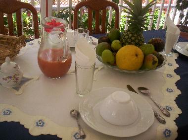 Ferienwohnung in SAINT ESPRIT (Martinique) oder Ferienwohnung oder Ferienhaus