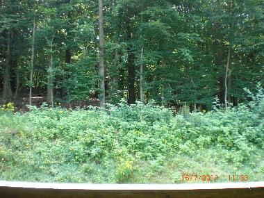 Ferienhaus in Scharbeutz-Klingberg (Ostsee-Festland) oder Ferienwohnung oder Ferienhaus