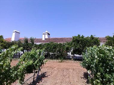 Ferienhaus in Redondo (Alto Alentejo) oder Ferienwohnung oder Ferienhaus