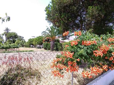 Ferienhaus in Redondo (Alto Alentejo) oder Ferienwohnung oder Ferienhaus