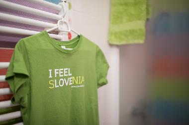 Ferienwohnung in Ljubljana (Ljubljana) oder Ferienwohnung oder Ferienhaus