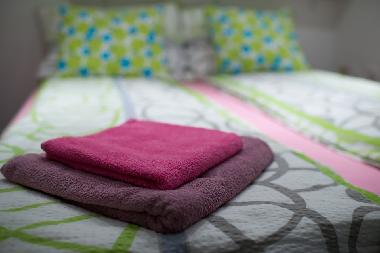 Ferienwohnung in Ljubljana (Ljubljana) oder Ferienwohnung oder Ferienhaus