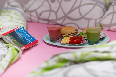 Ferienwohnung in Ljubljana (Ljubljana) oder Ferienwohnung oder Ferienhaus