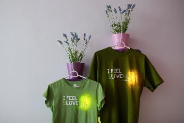 Ferienwohnung in Ljubljana (Ljubljana) oder Ferienwohnung oder Ferienhaus