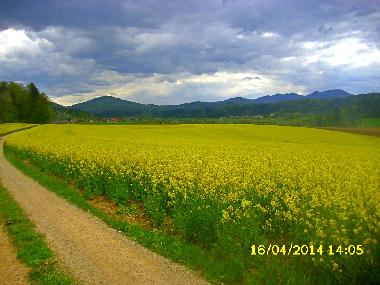 Ferienhaus in Ponova vas (Ljubljana) oder Ferienwohnung oder Ferienhaus