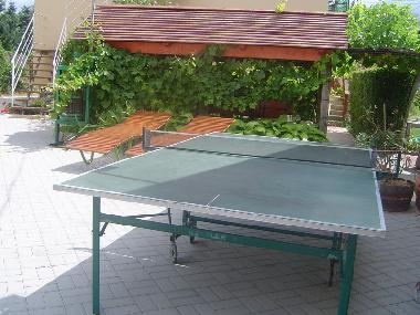 Ferienwohnung in Gyenesdi�s (Zala) oder Ferienwohnung oder Ferienhaus