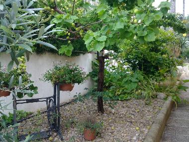 Ferienhaus in El Vendrell (Tarragona) oder Ferienwohnung oder Ferienhaus