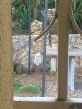 Ferienhaus in El Vendrell (Tarragona) oder Ferienwohnung oder Ferienhaus