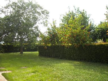 Ferienhaus in Corpolo