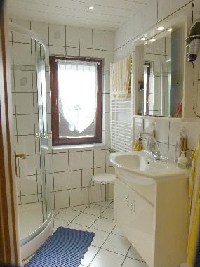 Dusche, Waschtisch, Handtuchheizkrper und Fn