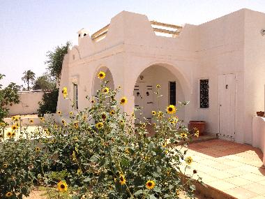Ferienhaus in Djerba (Madanin) oder Ferienwohnung oder Ferienhaus