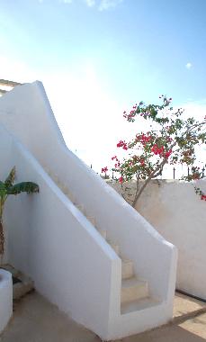 Ferienhaus in Djerba (Madanin) oder Ferienwohnung oder Ferienhaus