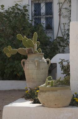 Ferienhaus in Djerba (Madanin) oder Ferienwohnung oder Ferienhaus