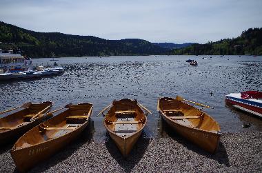 Titisee